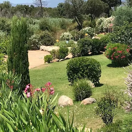 Lavezzi - 2 Bedrooms & Swimming Pool - 5min Appartement *